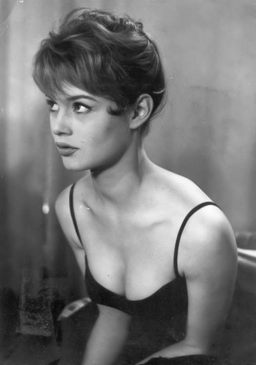 brigitte-bardot24-1766936082086-17669360824151901775403.jpg
