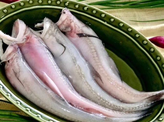 Loại c&aacute; da trơn, kh&ocirc;ng c&oacute; vảy, &iacute;t xương, nhiều ở v&ugrave;ng Thanh H&oacute;a, Nghệ An, H&agrave; Tĩnh: Nhiều chất m&agrave; lại rẻ - Ảnh 2.