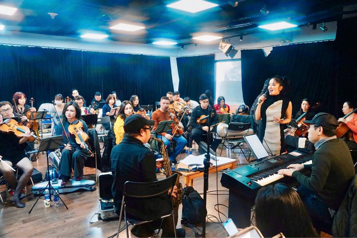 Hậu trường buổi diễn của diva Hồng Nhung: Kh&aacute;n giả bất ngờ khi show bị hủy - Ảnh 1.