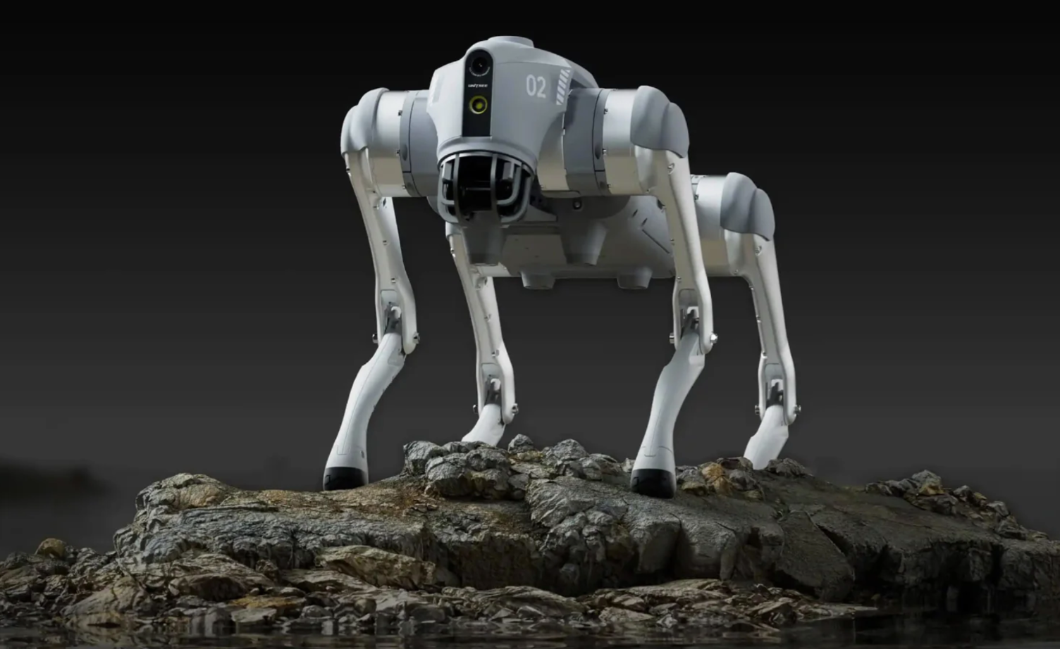 Trung Quốc ra mắt dịch vụ cho thu&ecirc; robot h&igrave;nh người để l&agrave;m việc, kể cả ma chay cưới hỏi... - Ảnh 2.