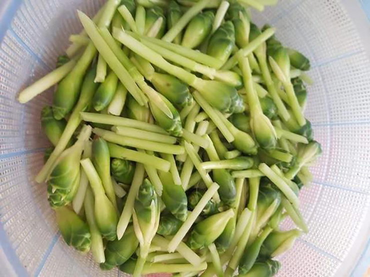 Thứ hoa tưởng v&ocirc; dụng, kh&ocirc;ng ngờ l&agrave; m&oacute;n ăn lạ thơm ngon, bất ngờ g&acirc;y sốt - Ảnh 6.