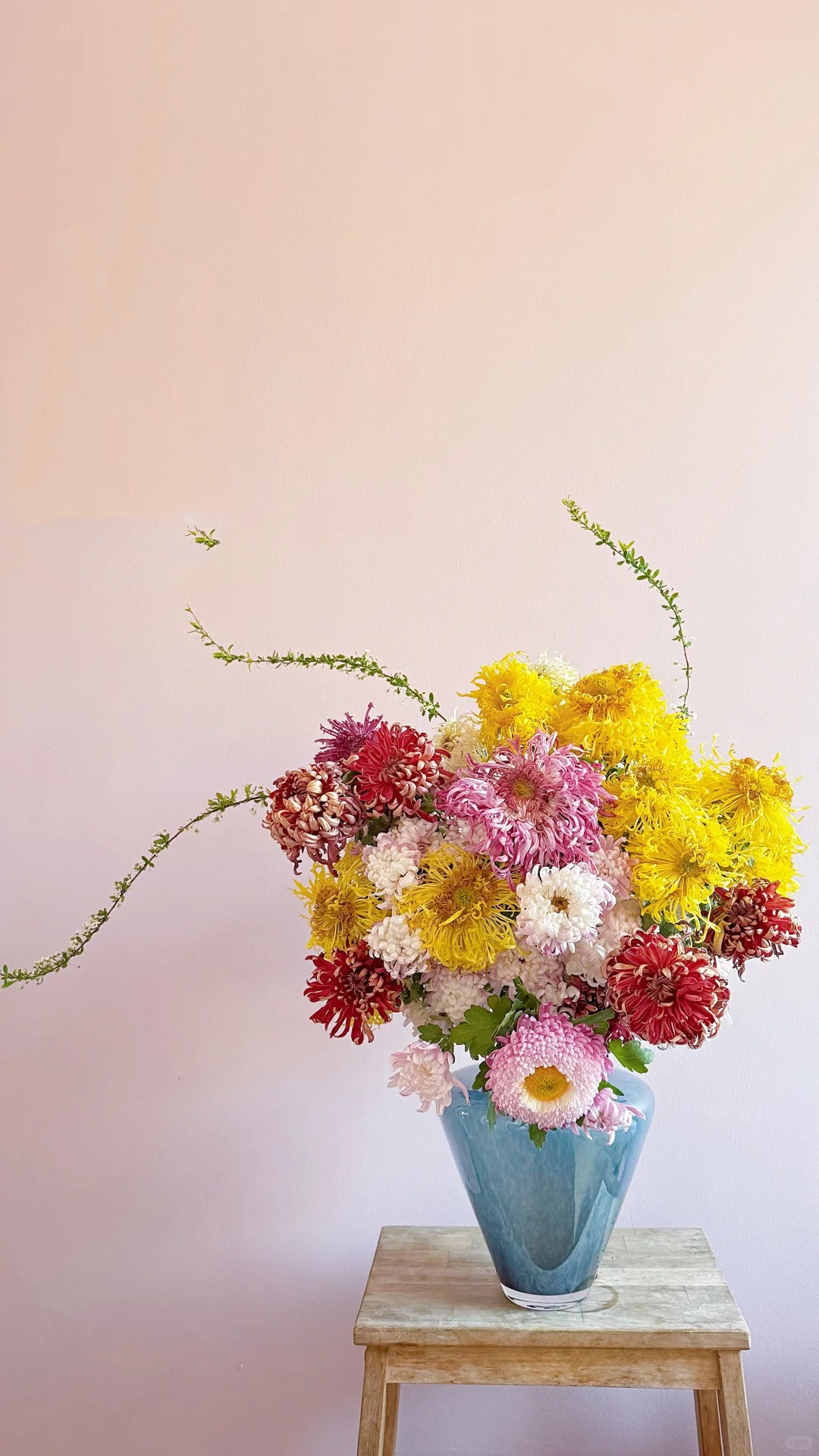 Không chỉ đẹp, đây là lý do người xưa dặn nhất định phải bày hoa cúc ngày Tết để gọi 