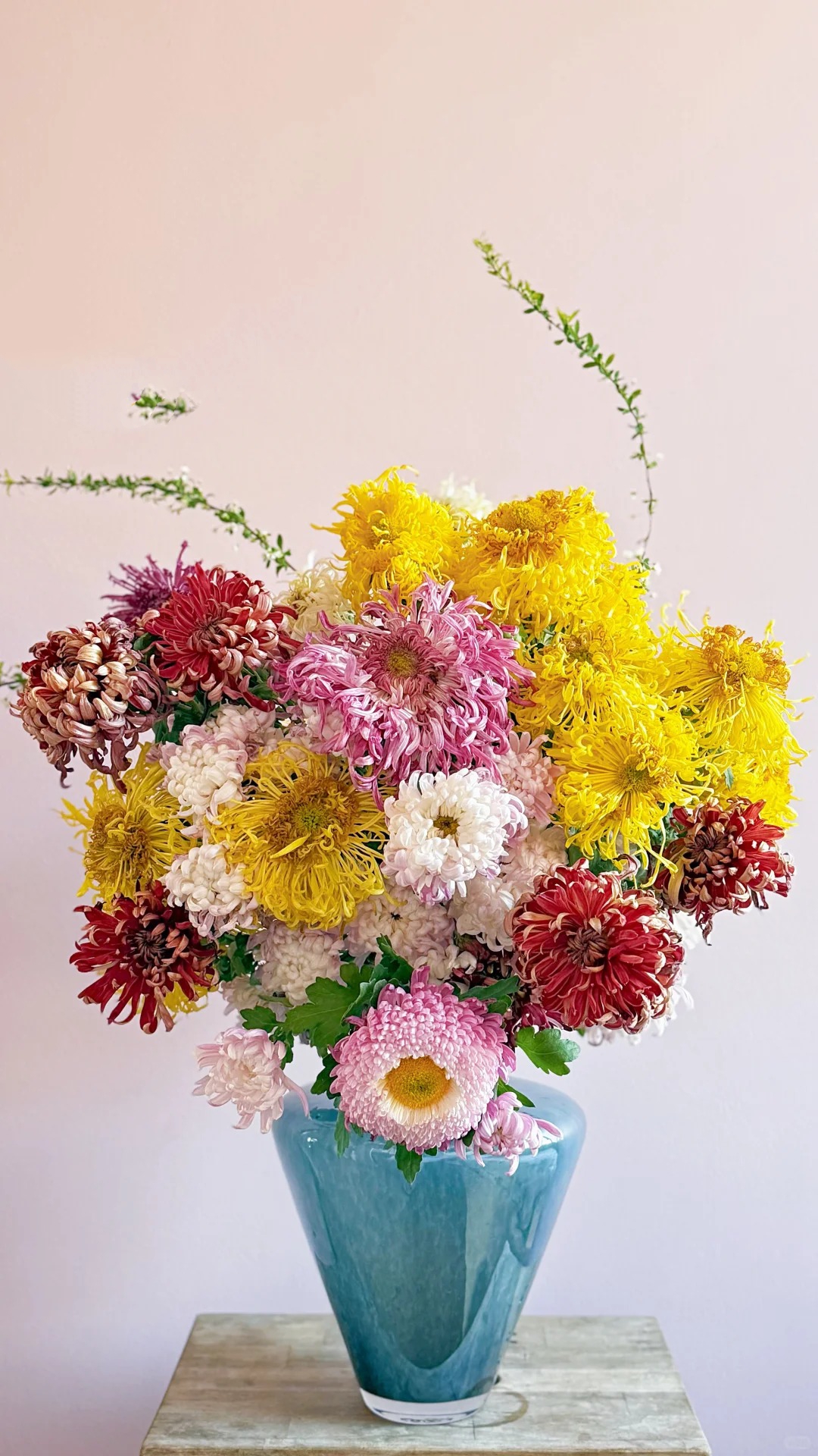 Không chỉ đẹp, đây là lý do người xưa dặn nhất định phải bày hoa cúc ngày Tết để gọi 