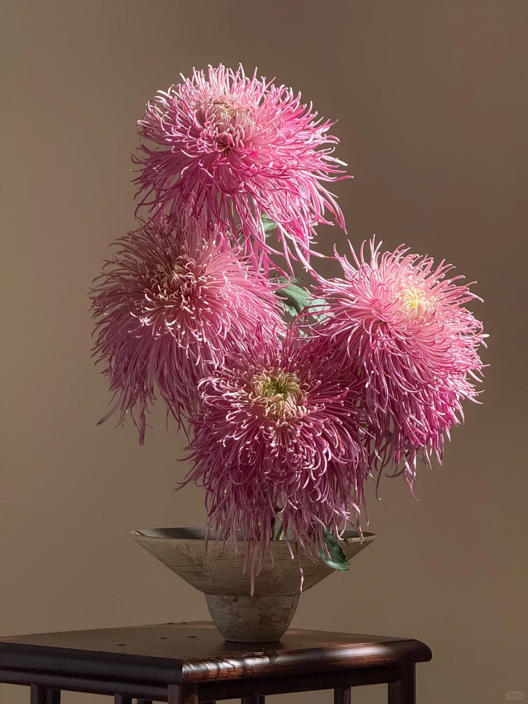 Không chỉ đẹp, đây là lý do người xưa dặn nhất định phải bày hoa cúc ngày Tết để gọi 