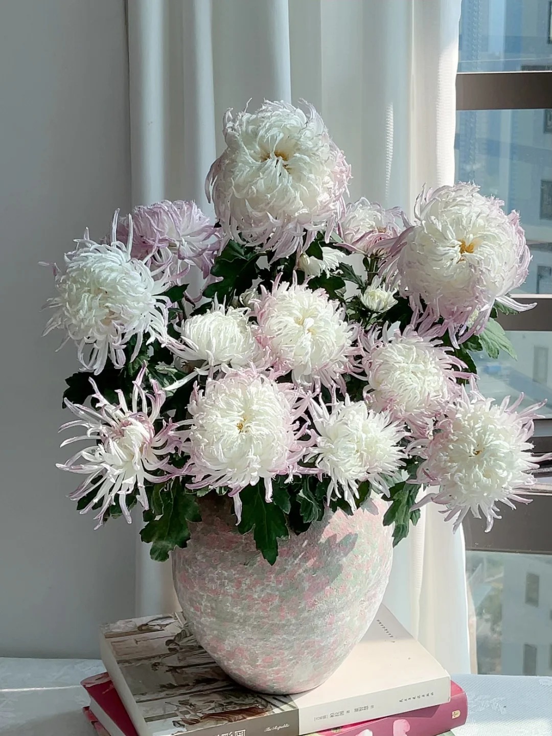 Không chỉ đẹp, đây là lý do người xưa dặn nhất định phải bày hoa cúc ngày Tết để gọi 