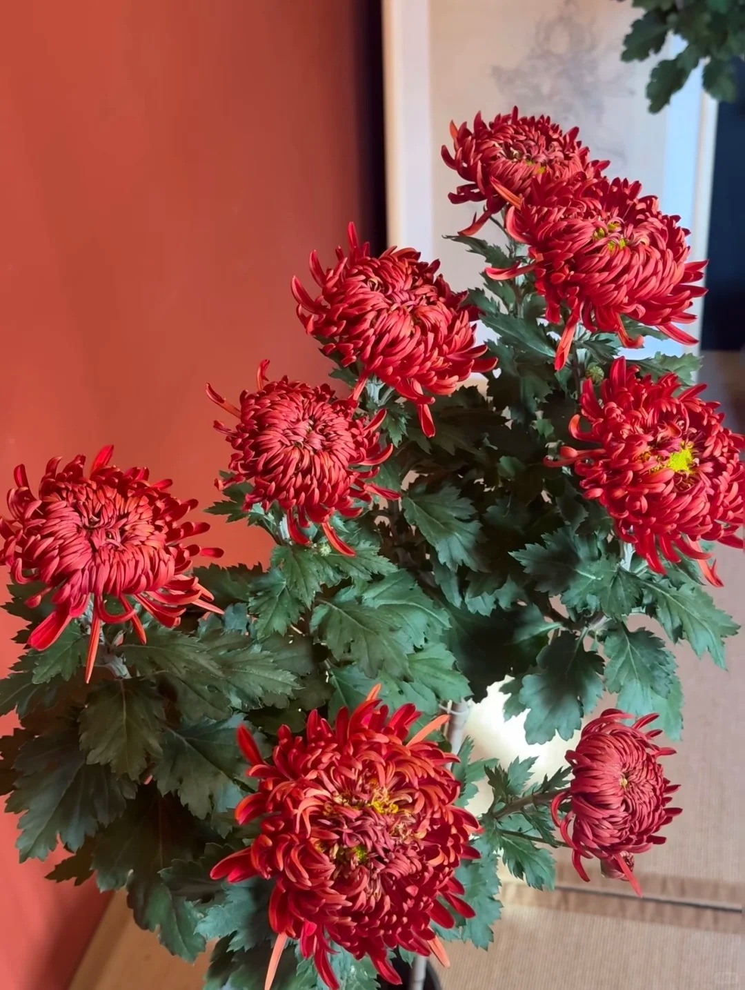 Không chỉ đẹp, đây là lý do người xưa dặn nhất định phải bày hoa cúc ngày Tết để gọi 