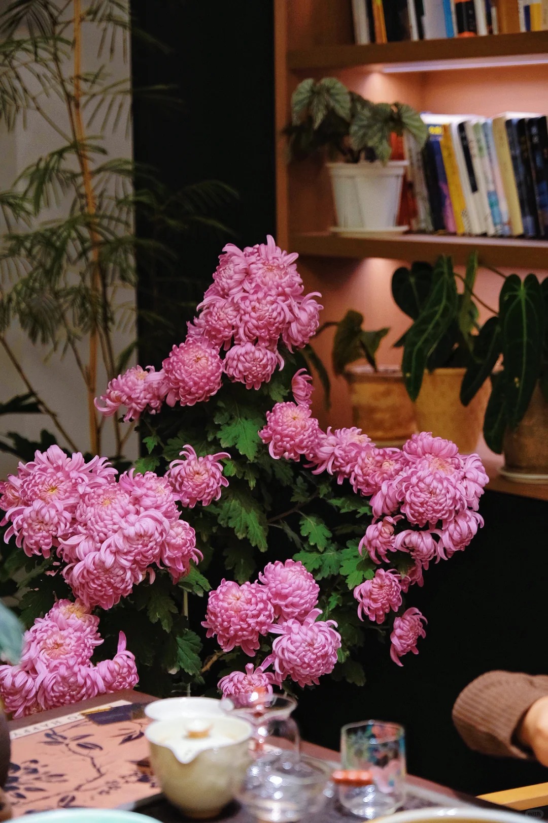 Không chỉ đẹp, đây là lý do người xưa dặn nhất định phải bày hoa cúc ngày Tết để gọi 