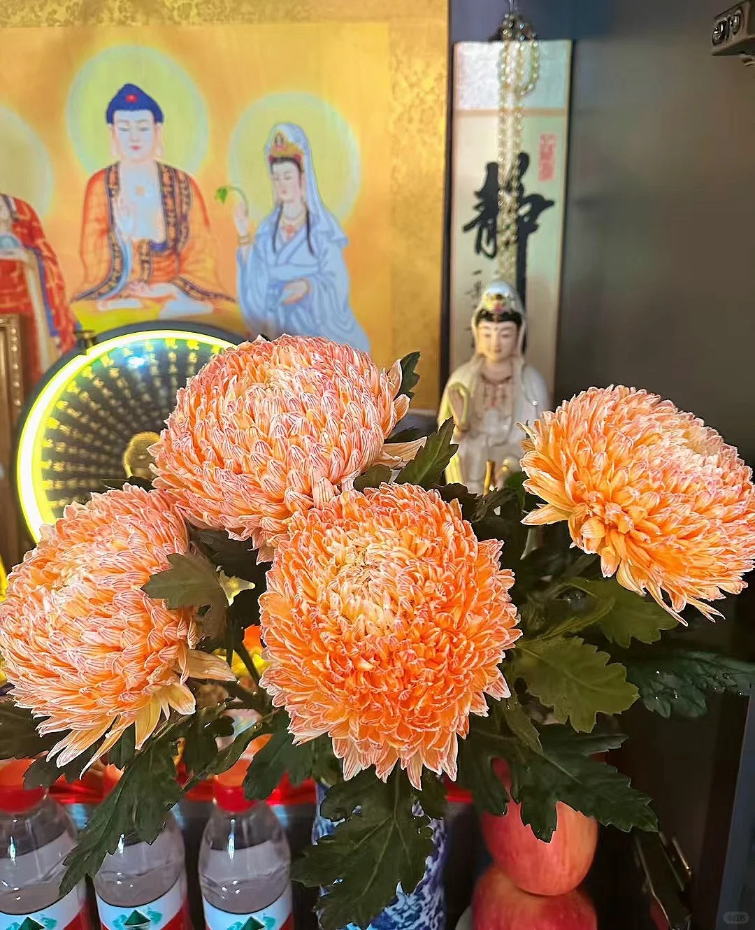 Không chỉ đẹp, đây là lý do người xưa dặn nhất định phải bày hoa cúc ngày Tết để gọi 