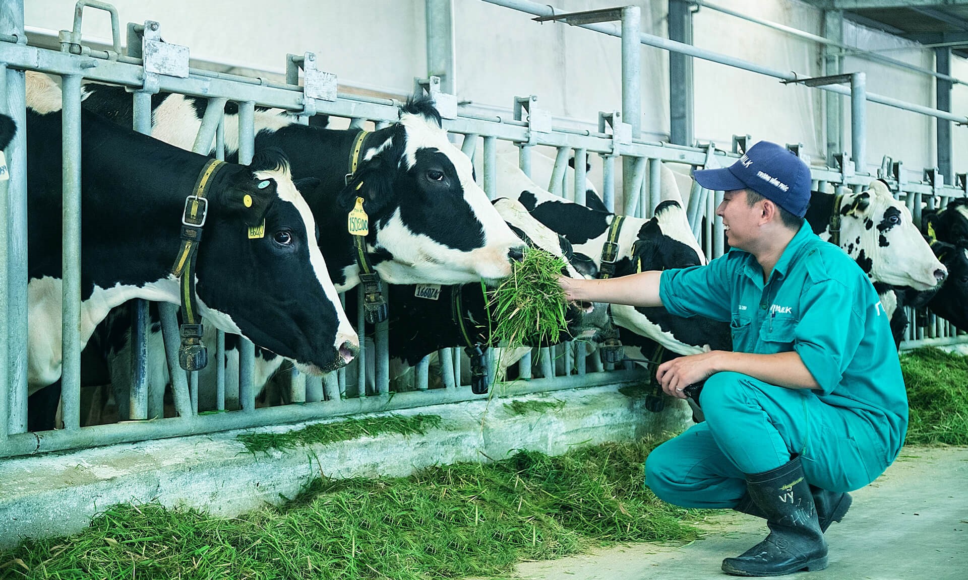 Vinamilk tiếp tục n&acirc;ng tầm 