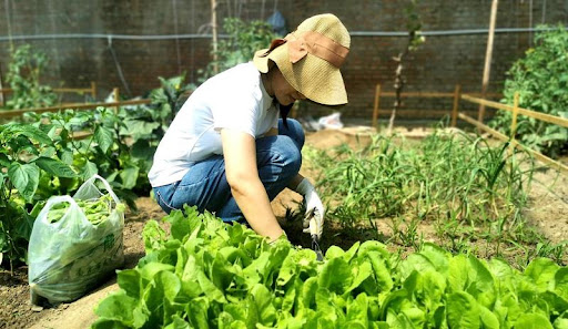 Lớn rồi tôi mới biết: Người dạy tôi cách giàu lên không phải thầy tài chính, mà là mẹ tôi ở quê - Ảnh 3.