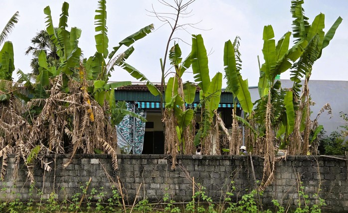 Cuộc h&ocirc;n nh&acirc;n s&oacute;ng gi&oacute; khiến người vợ bị chồng ch&eacute;m chết đ&uacute;ng ng&agrave;y ra t&ograve;a - Ảnh 1.