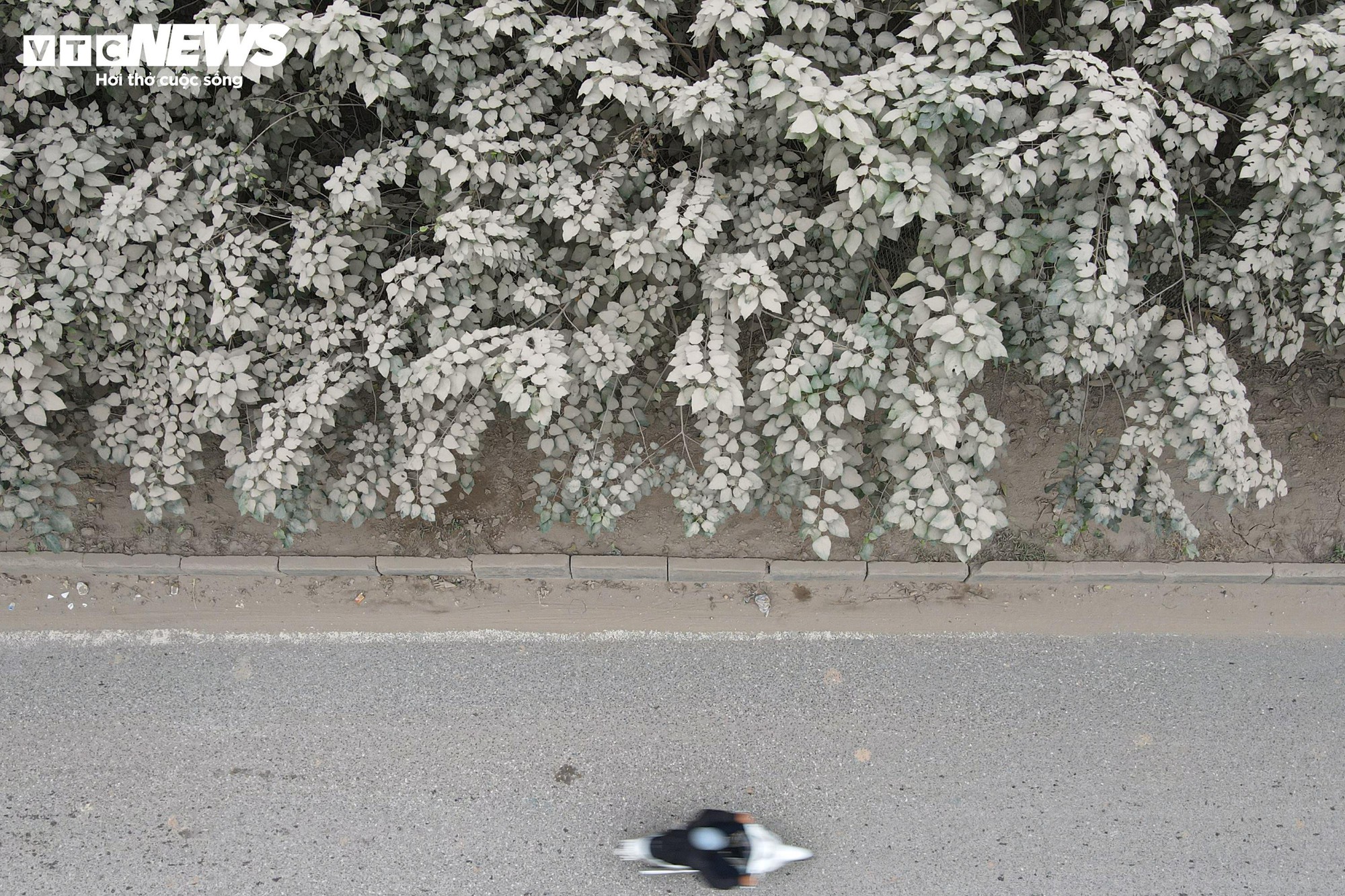 Bụi mù bao phủ Hà Nội: Tình trạng ô nhiễm nghiêm trọng ảnh hưởng đến sức khỏe - Ảnh 11.