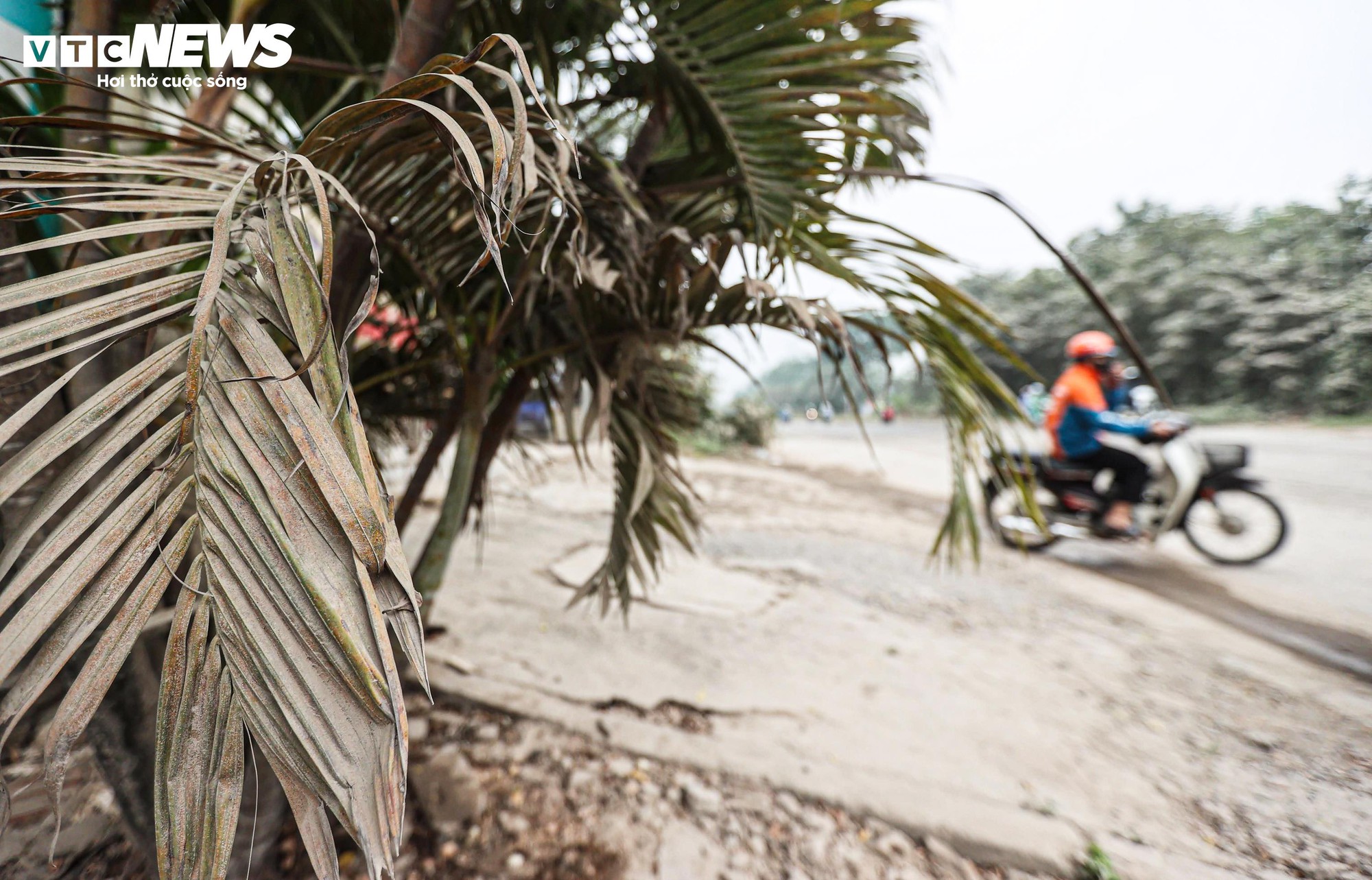 Bụi mù bao phủ Hà Nội: Tình trạng ô nhiễm nghiêm trọng ảnh hưởng đến sức khỏe - Ảnh 13.