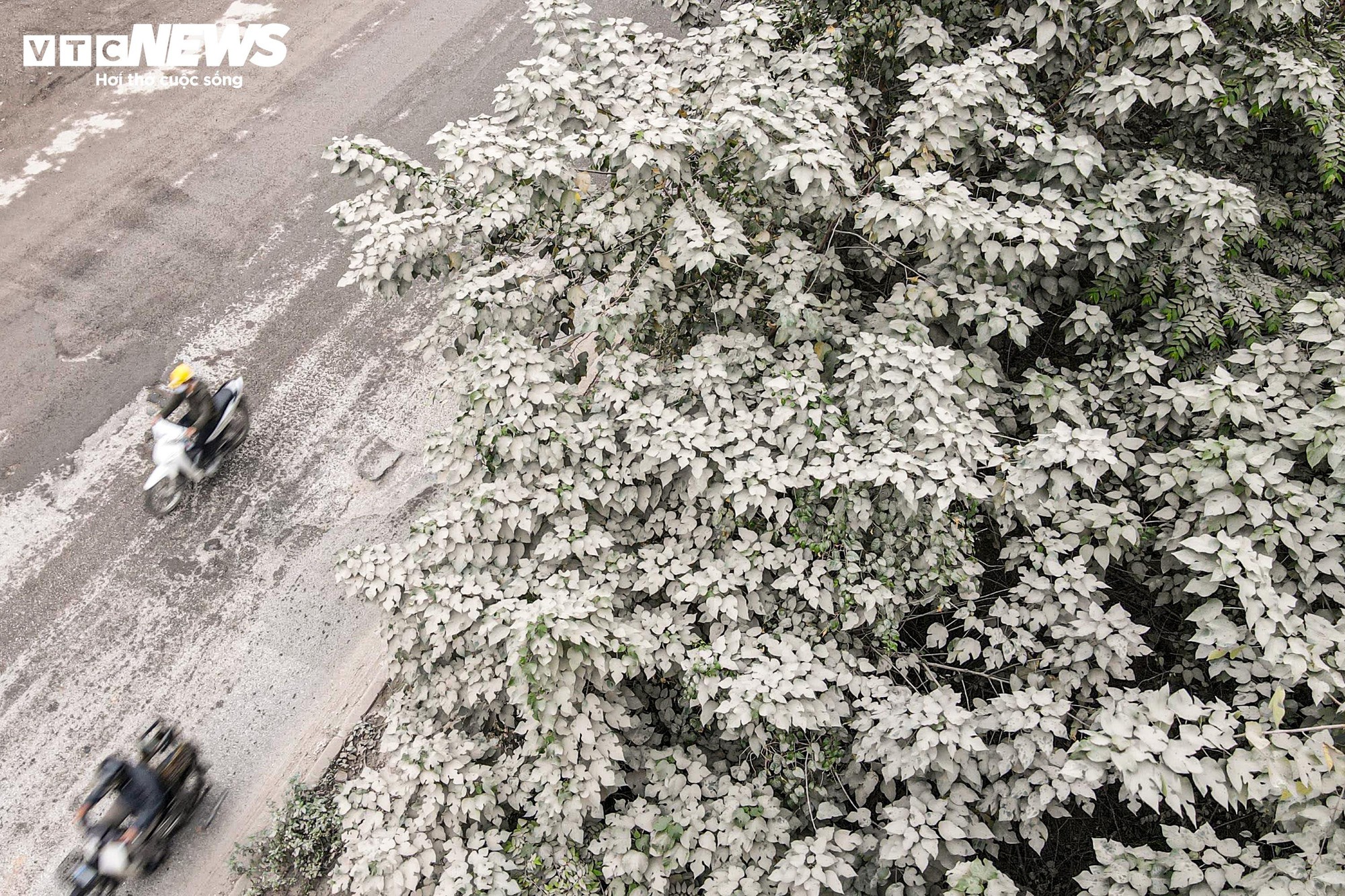 Bụi mù bao phủ Hà Nội: Tình trạng ô nhiễm nghiêm trọng ảnh hưởng đến sức khỏe - Ảnh 2.