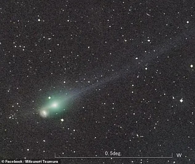 Lời tiên tri của Baba Vanga cho năm 2025 gây xôn xao toàn cầu - Ảnh 2.