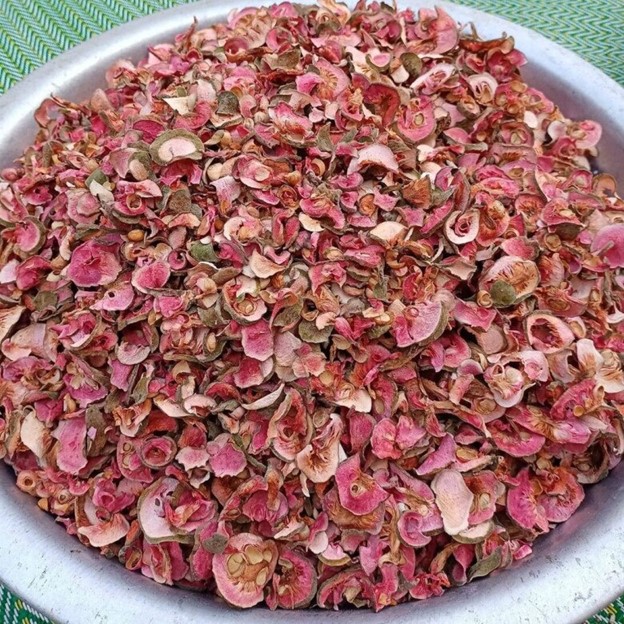 Thứ quà quê chay có vị chua thanh, ruột hồng bắt mắt được nhiều người săn lùng - Ảnh 4.