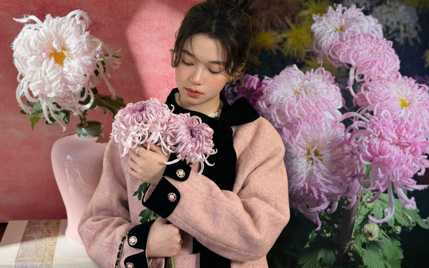 Mê mẩn loài cúc lạ 