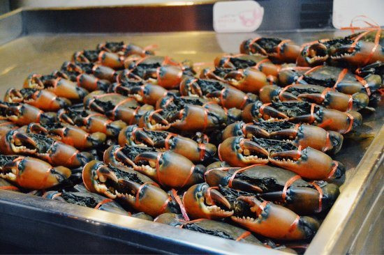 Kho báu dưới nước của Việt Nam 'bơi' sang Mỹ, Nhật Bản siêu đắt hàng: xuất khẩu tăng khủng hơn 600%, chất lượng vượt trội hàng đầu thế giới - Ảnh 1.