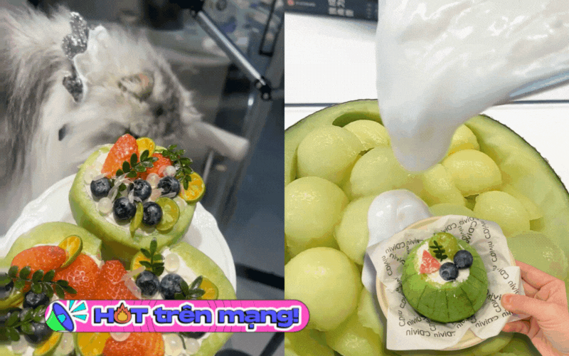 Món tráng miệng làm từ sữa chua