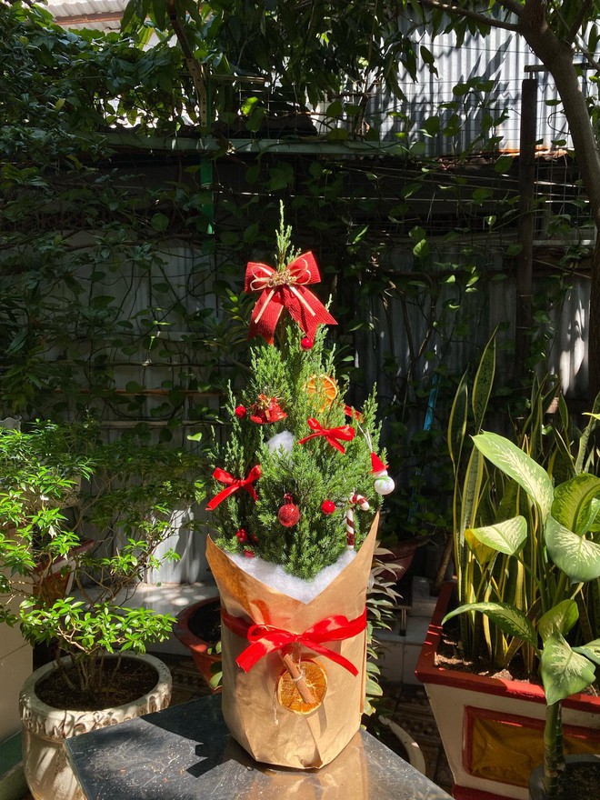 Sơn tùng giá rẻ bèo, được săn đón nhất dịp Giáng sinh- Ảnh 10.