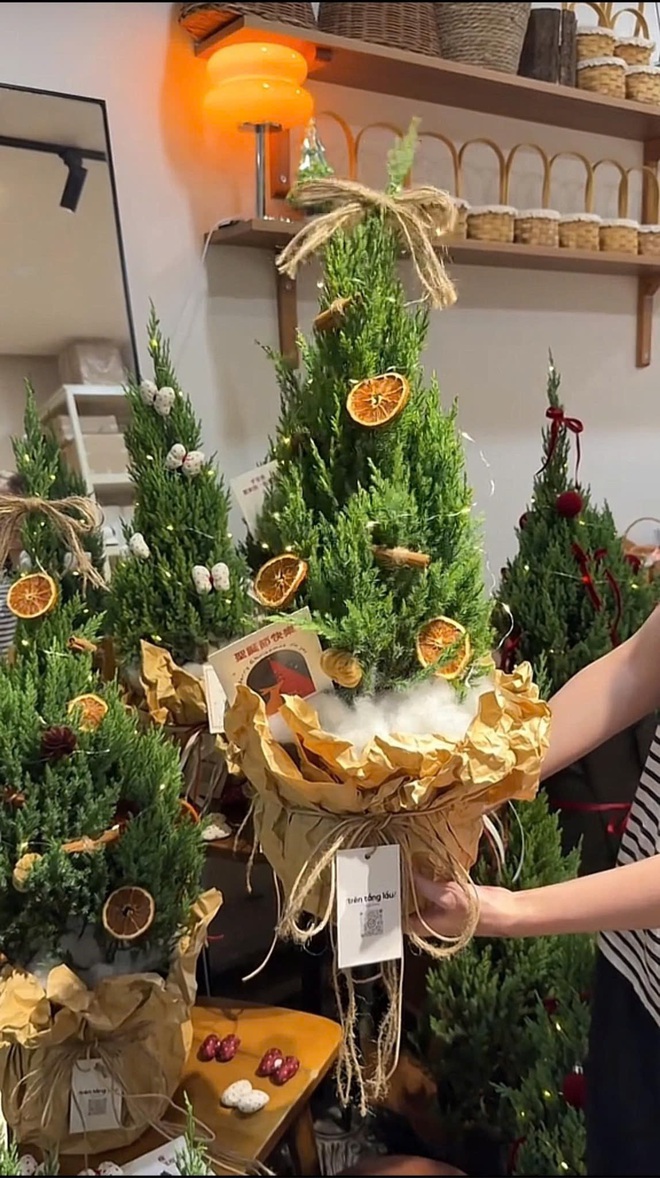 Sơn tùng giá rẻ bèo, được săn đón nhất dịp Giáng sinh- Ảnh 7.