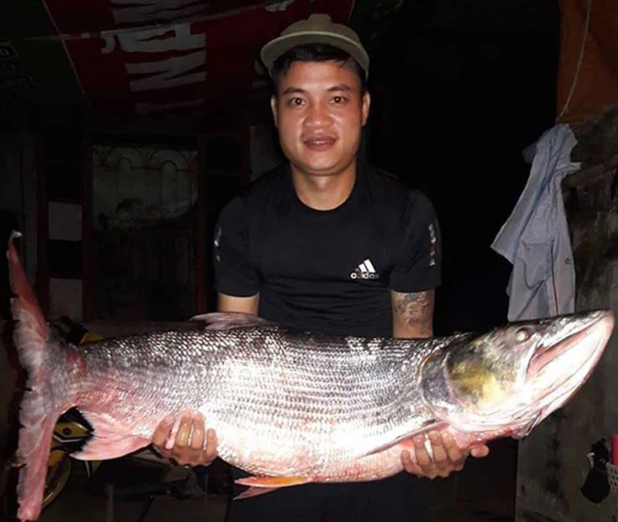 Cá măng sông Đà: Đặc sản ngon , mạnh mẽ và bí ẩn của vùng Tây Bắc - Ảnh 1.