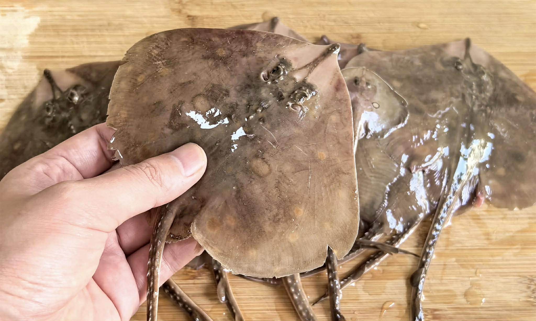 Món cá ngon nhất để ăn lúc này được nấu từ 4 loại cá sau đây – bổ dưỡng và món nào cũng ngon - Ảnh 5.