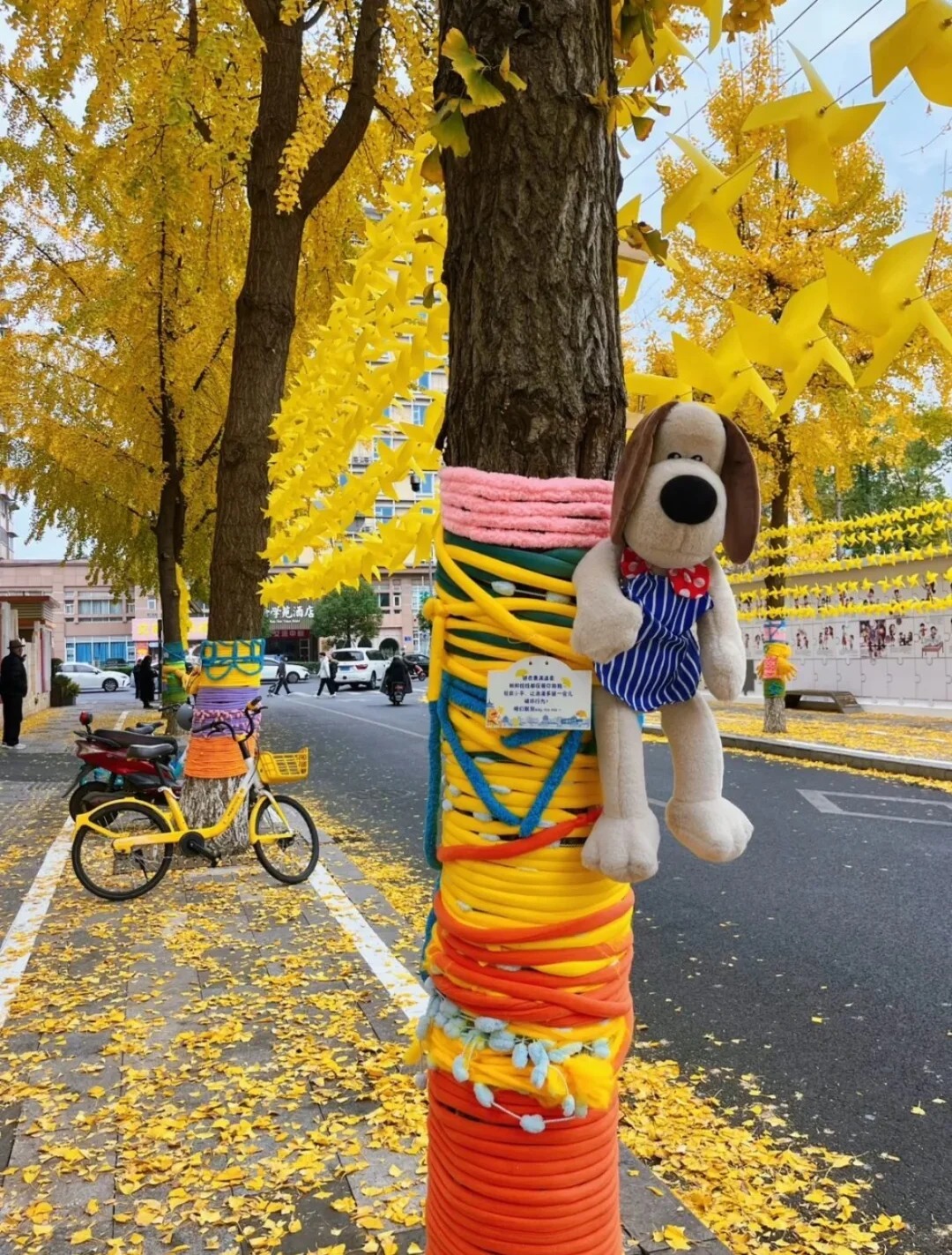 Cây cối trên đường phố đồng loạt mặc áo: Trào lưu "ôm cây" đang khiến dân tình phát sốt vì quá chữa lành!- Ảnh 29.