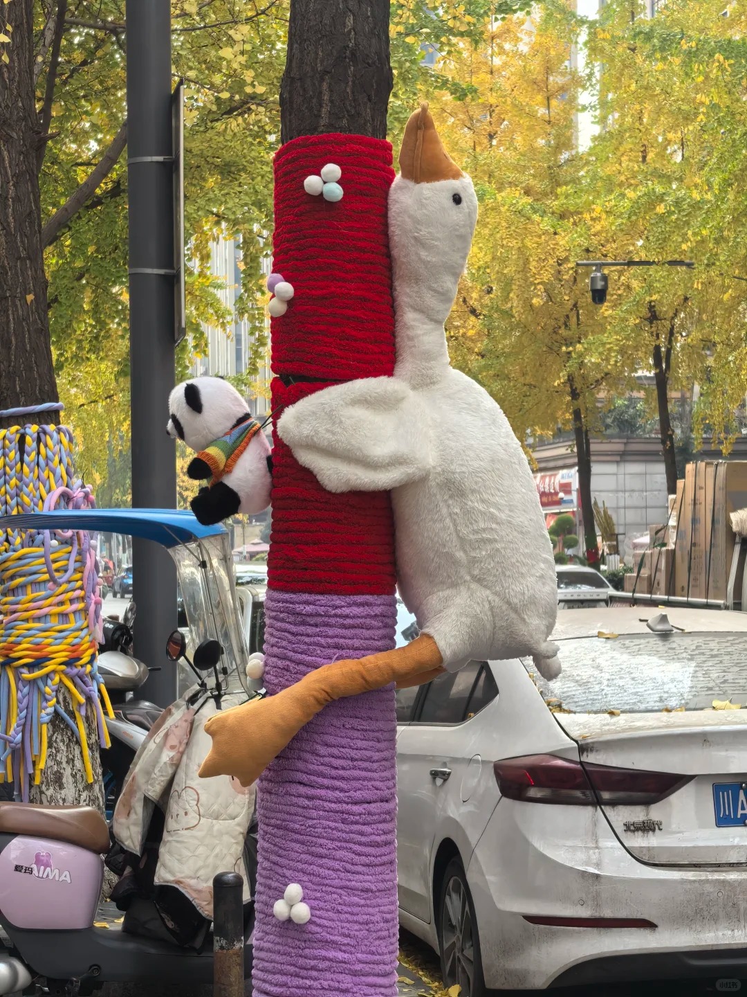 Cây cối trên đường phố đồng loạt mặc áo: Trào lưu "ôm cây" đang khiến dân tình phát sốt vì quá chữa lành!- Ảnh 28.