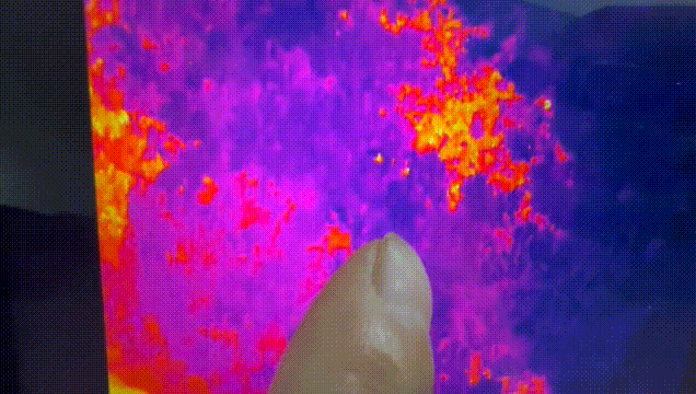 Hai đứa trẻ bỗng mất hút sau lời rỉ tai về 