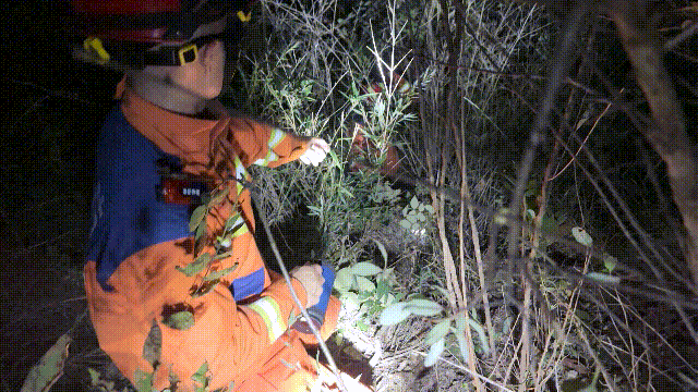 Hai đứa trẻ bỗng mất hút sau lời rỉ tai về 