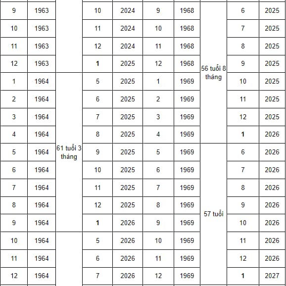 Bảng tính tuổi nghỉ hưu theo năm sinh mới nhất năm 2025- Ảnh 3.