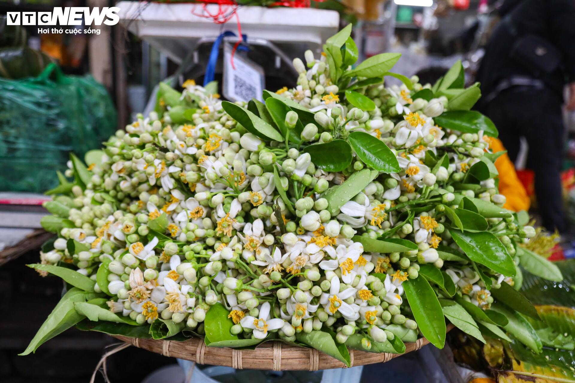 Người Hà Nội đội mưa sắm đồ cúng rằm tháng Giêng, giá hoa tươi vẫn đắt ngang Tết - Ảnh 11.