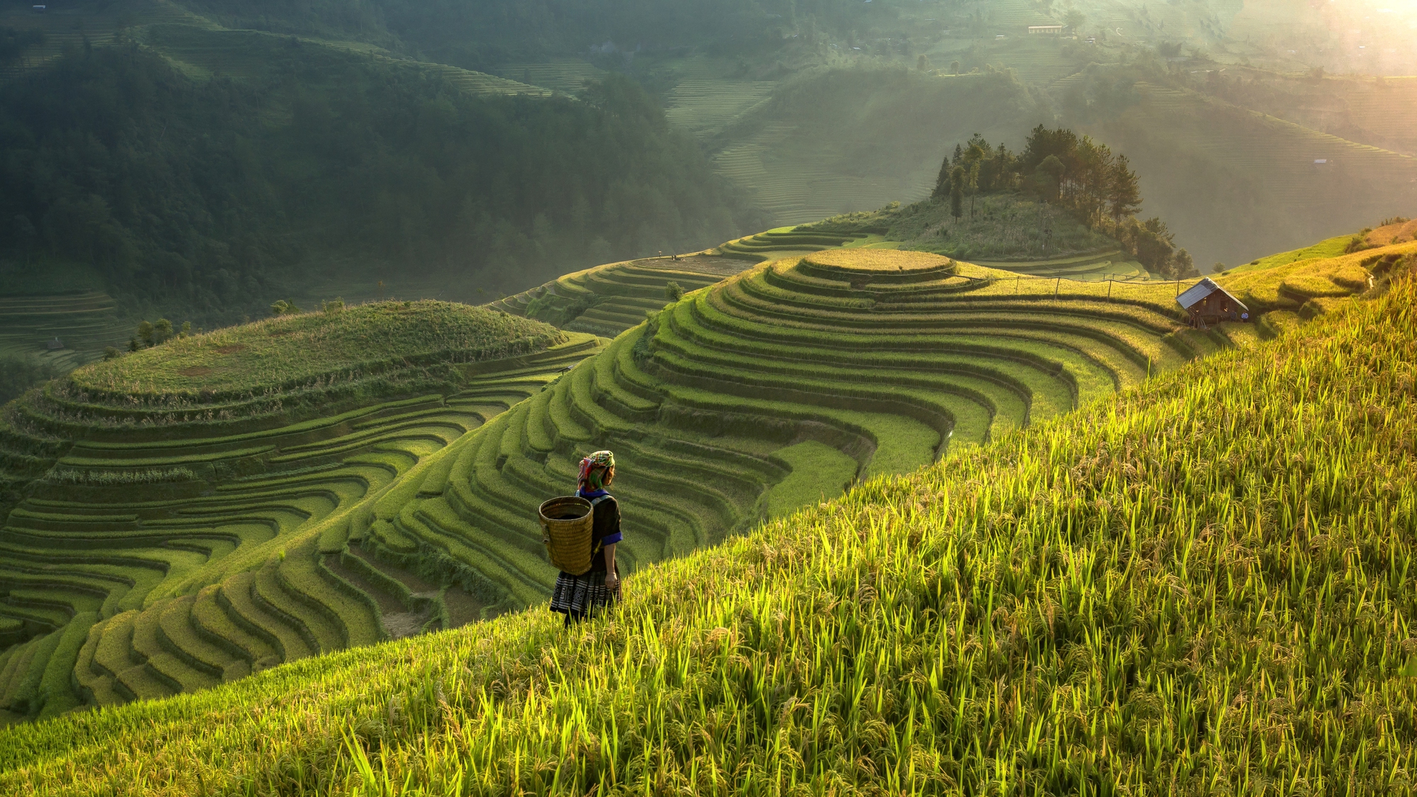 Trải nghiệm du xuân nơi đại ngàn Tây Bắc có gì độc đáo?- Ảnh 4.