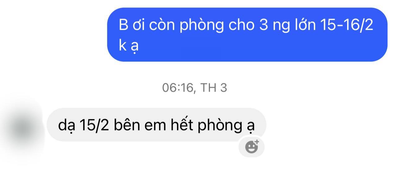 Săn lùng khách sạn ở Mộc Châu: Chủ mang cả phòng gia đình ra hỗ trợ, du khách gọi liên tục 2 ngày đều không có chỗ - Ảnh 7.