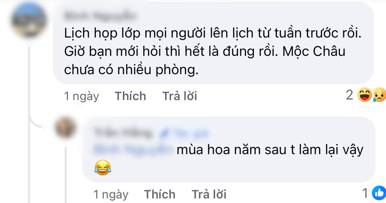 Săn lùng khách sạn ở Mộc Châu: Chủ mang cả phòng gia đình ra hỗ trợ, du khách gọi liên tục 2 ngày đều không có chỗ - Ảnh 8.