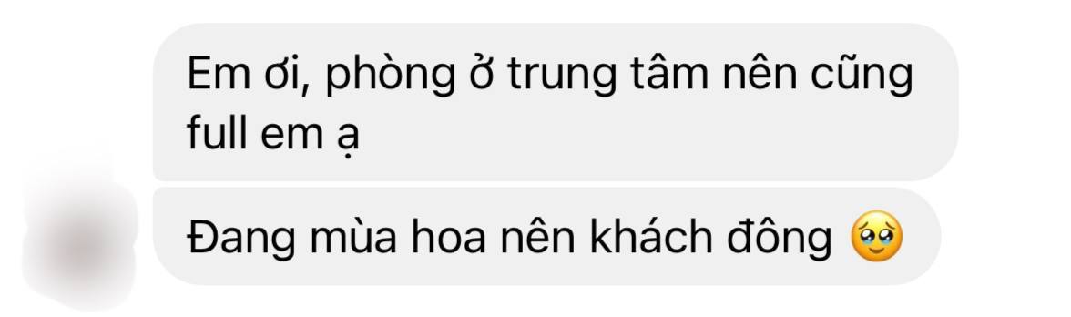 Săn lùng khách sạn ở Mộc Châu: Chủ mang cả phòng gia đình ra hỗ trợ, du khách gọi liên tục 2 ngày đều không có chỗ - Ảnh 3.