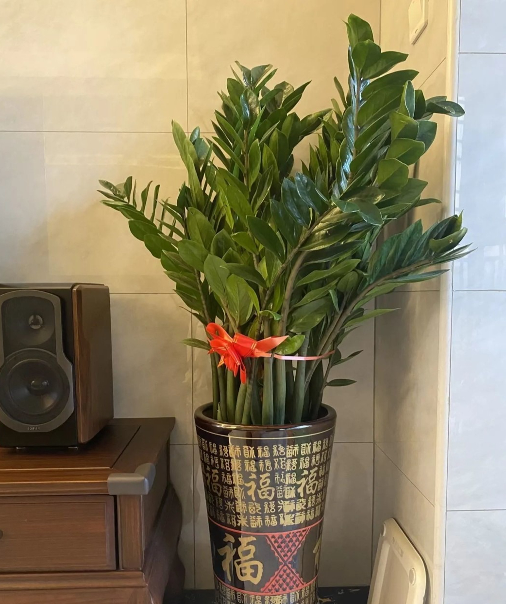 7 loài cây hoa giúp phòng khách hút tài lộc, cây thịnh thì người thịnh- Ảnh 2. 7 loài cây hoa giúp phòng khách hút tài lộc, cây thịnh thì người thịnh- Ảnh 2.
