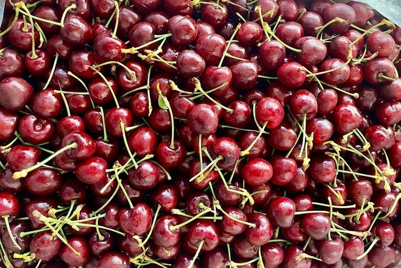 Cherry Chile giá sập sàn chỉ hơn 100.000 đồng/kg, dân tình đổ xô &quot;mua như trẩy hội&quot; - Ảnh 3.