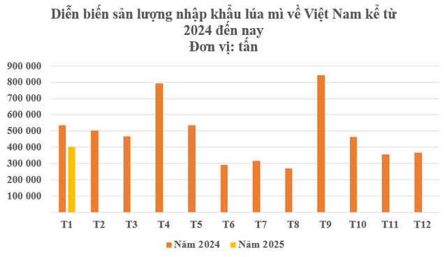 Hàng chục nghìn tấn hàng từ Canada đổ bộ Việt Nam tháng đầu năm: Nhập khẩu tăng hơn 2.000%, là ‘báu vật’ cả thế giới đều cần- Ảnh 2.