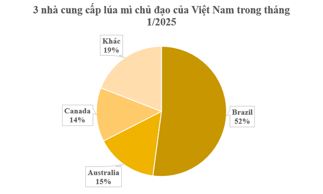 Hàng chục nghìn tấn hàng từ Canada đổ bộ Việt Nam tháng đầu năm: Nhập khẩu tăng hơn 2.000%, là ‘báu vật’ cả thế giới đều cần- Ảnh 3.