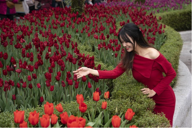 Hàng nghìn du khách đến du xuân tại Sun World Ba Na Hills dịp đầu năm mới 2025 - Ảnh 3. Hàng nghìn du khách đến du xuân tại Sun World Ba Na Hills dịp đầu năm mới 2025 - Ảnh 3.