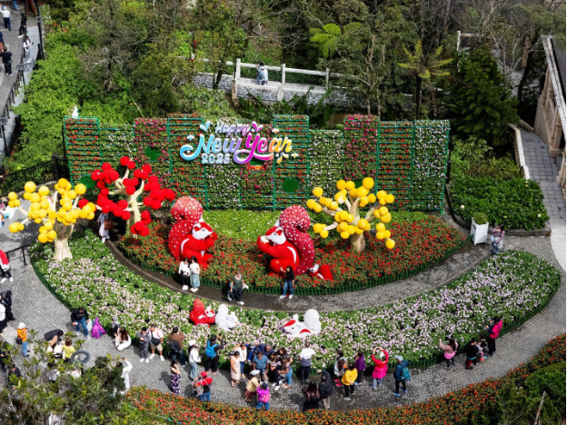 Hàng nghìn du khách đến du xuân tại Sun World Ba Na Hills dịp đầu năm mới 2025 - Ảnh 6. Hàng nghìn du khách đến du xuân tại Sun World Ba Na Hills dịp đầu năm mới 2025 - Ảnh 6.