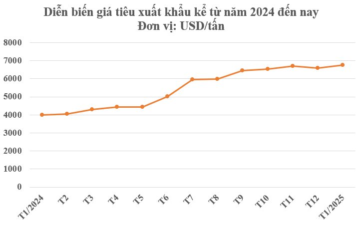 Một loại nông sản thế giới đang lên cơn khát nhưng Việt Nam sở hữu hơn 100.000 ha: Mỹ, Đức liên tục tìm mua, giá tăng phi mã - Ảnh 2.