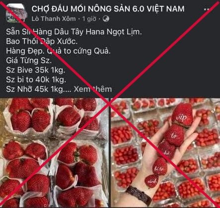 Tìm người bị đối tượng ở Sơn La dụ mua nông sản rồi chiếm đoạt tiền cọc - Ảnh 1.