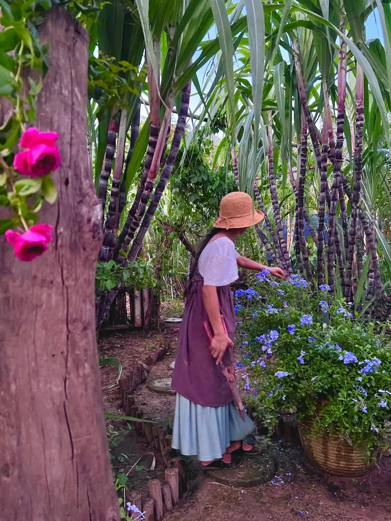 Mẹ đảm 37 tuổi đã trở nên nổi tiếng vì khu vườn của cô ấy &quot;hoành tráng&quot; và trông giống như &quot;thế giới cổ tích&quot;! - Ảnh 5.