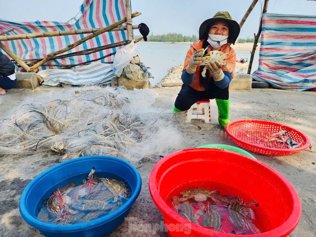 Đầu năm mới thuyền trúng đậm hải sản, ngư dân 'đếm tiền mỏi tay' - Ảnh 13.