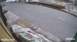 Clip 2 thanh niên tông trúng người đang dắt chó sang đường rồi luống cuống bỏ chạy, số phận nạn nhân khiến triệu người lo lắng - Ảnh 1. Clip 2 thanh niên tông trúng người đang dắt chó sang đường rồi luống cuống bỏ chạy, số phận nạn nhân khiến triệu người lo lắng - Ảnh 1.