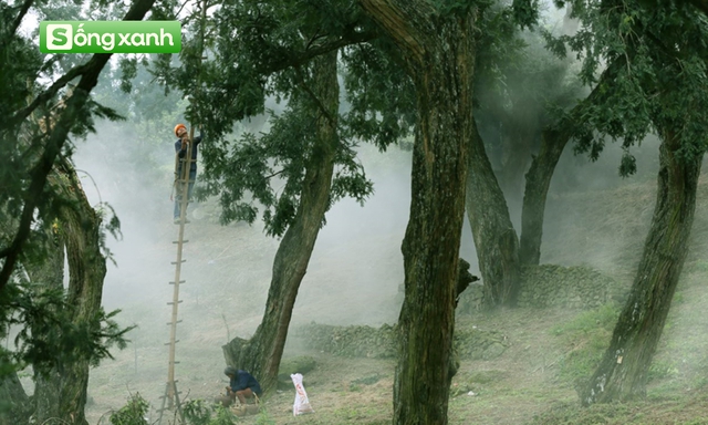 &quot;Mỏ kho báu&quot; vô giá của Trung Quốc: Trải rộng 400km2 ở dãy núi thiêng, LHQ kêu gọi bảo vệ nghiêm ngặt - Ảnh 2.