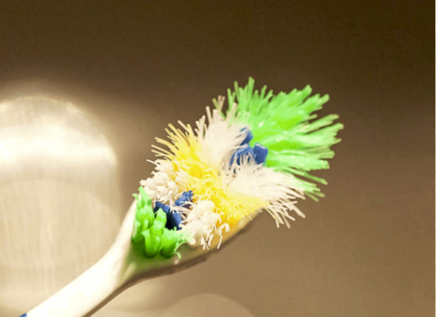 take-care-of-your-toothbrush-17407487028631158036588-1740787825731-1740787825836149735002.png